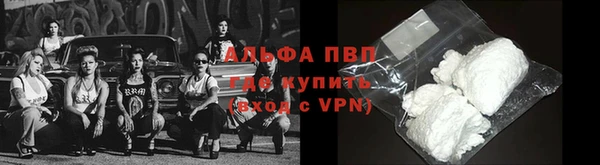 индика Михайловск