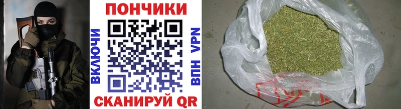 Шишки марихуана SATIVA & INDICA  где можно купить наркотик  Черногорск 